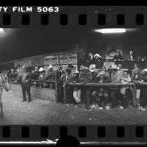Los Angeles Horse and Mule Auction, 1976